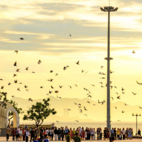 Nha Trang đón sóng di cư